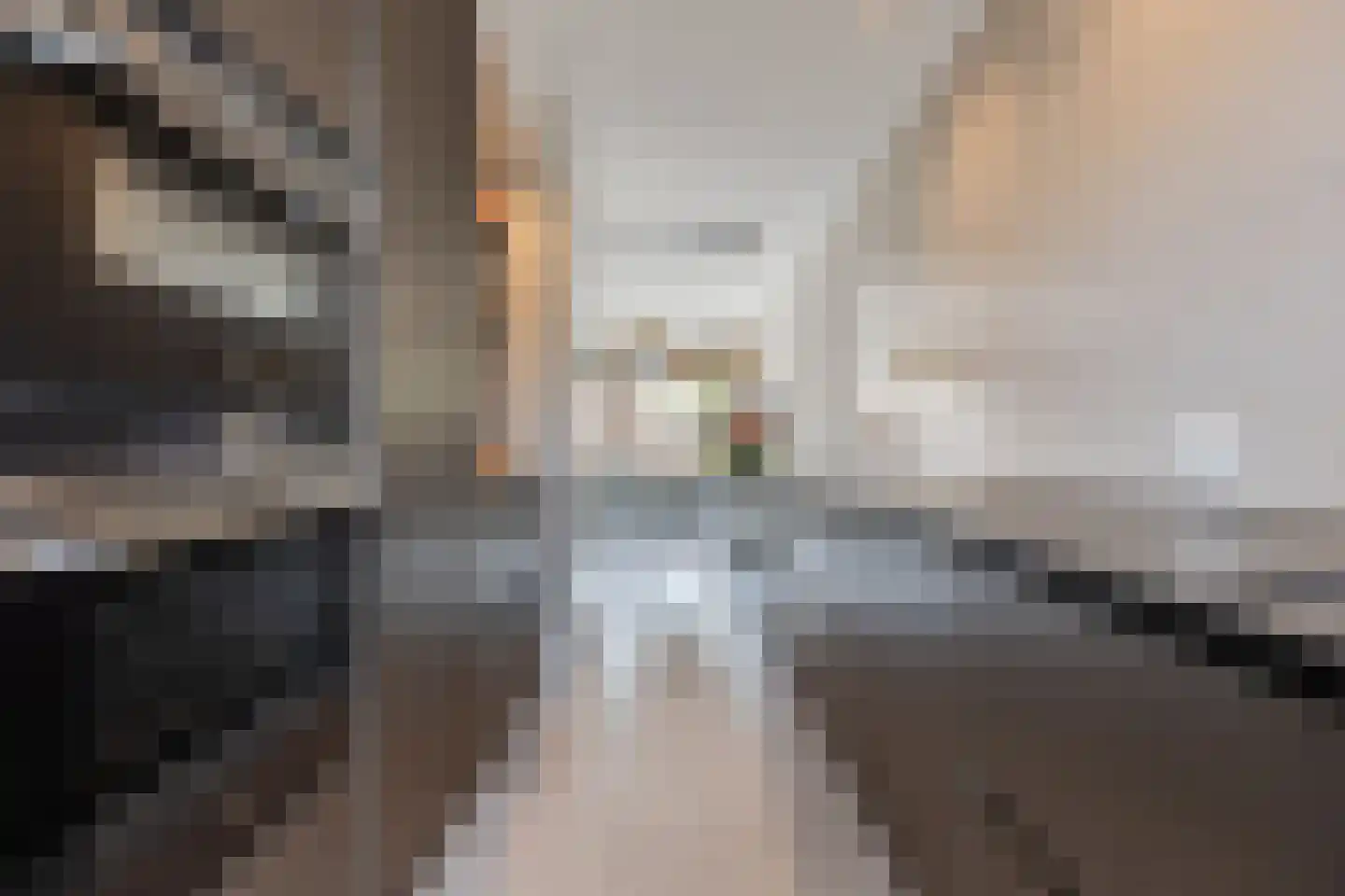 Dahliahof 12 Tilburg thumbnail 11