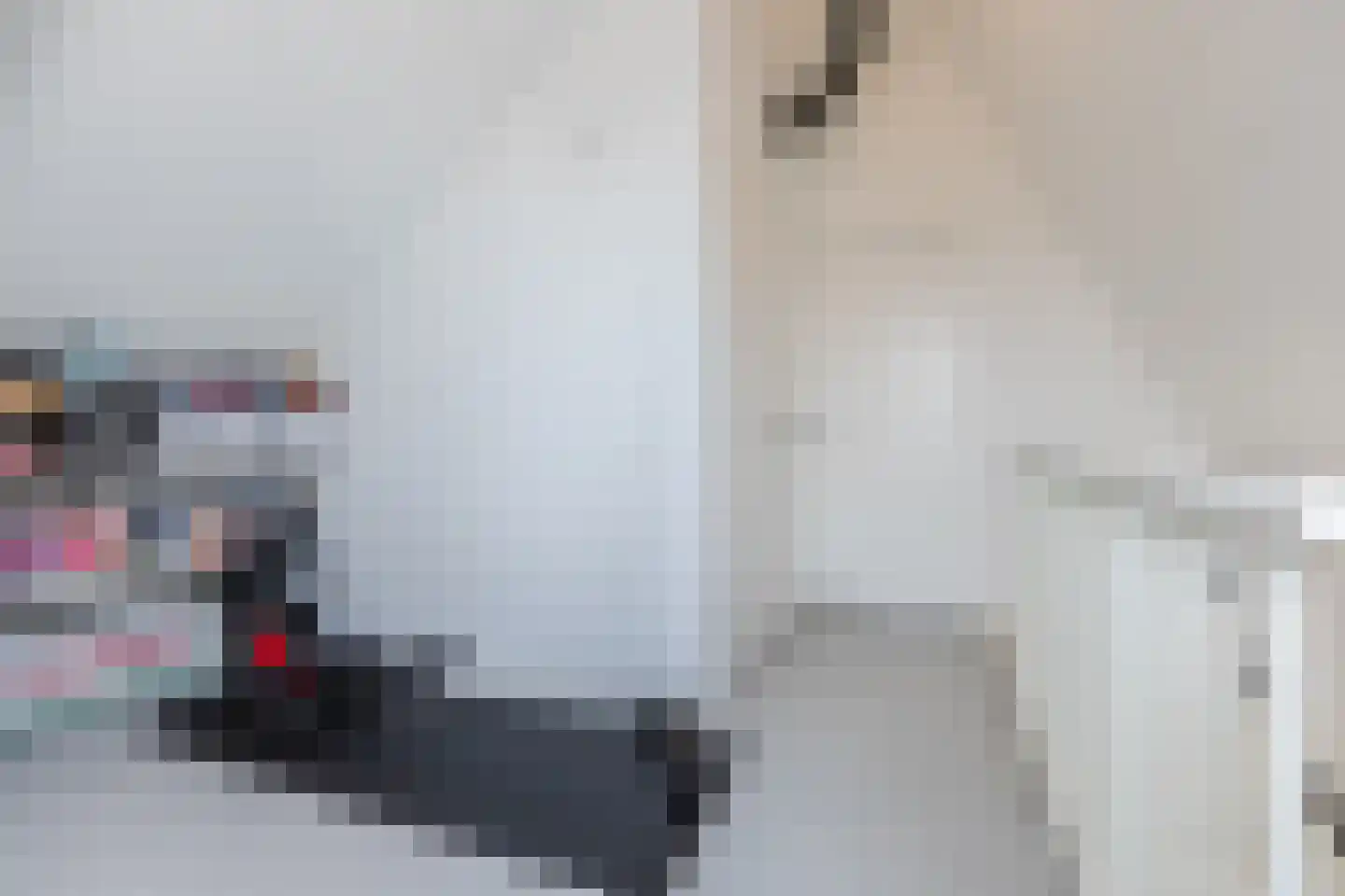Dahliahof 12 Tilburg thumbnail 23