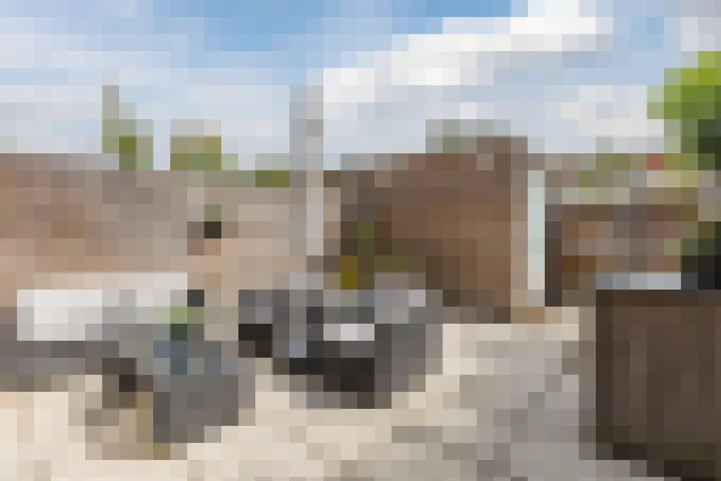 Dahliahof 12 Tilburg thumbnail 29