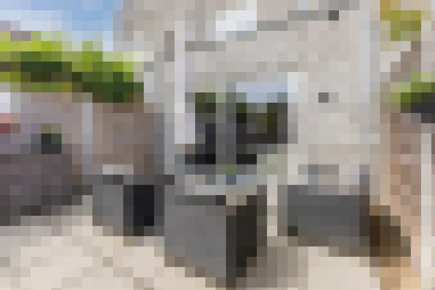 Dahliahof 12 Tilburg thumbnail 30