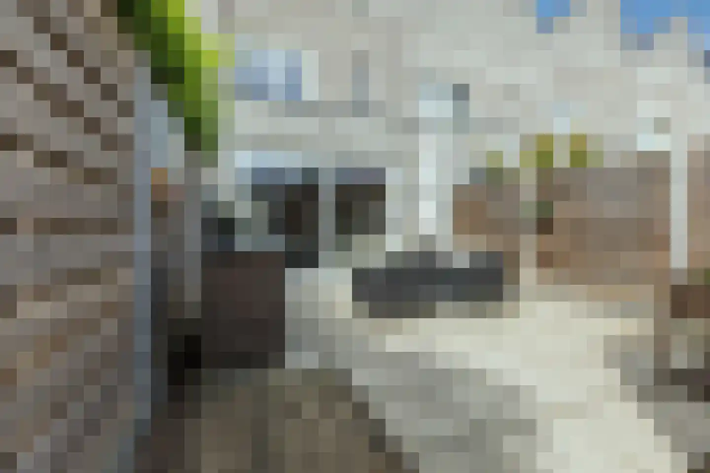 Dahliahof 12 Tilburg thumbnail 31