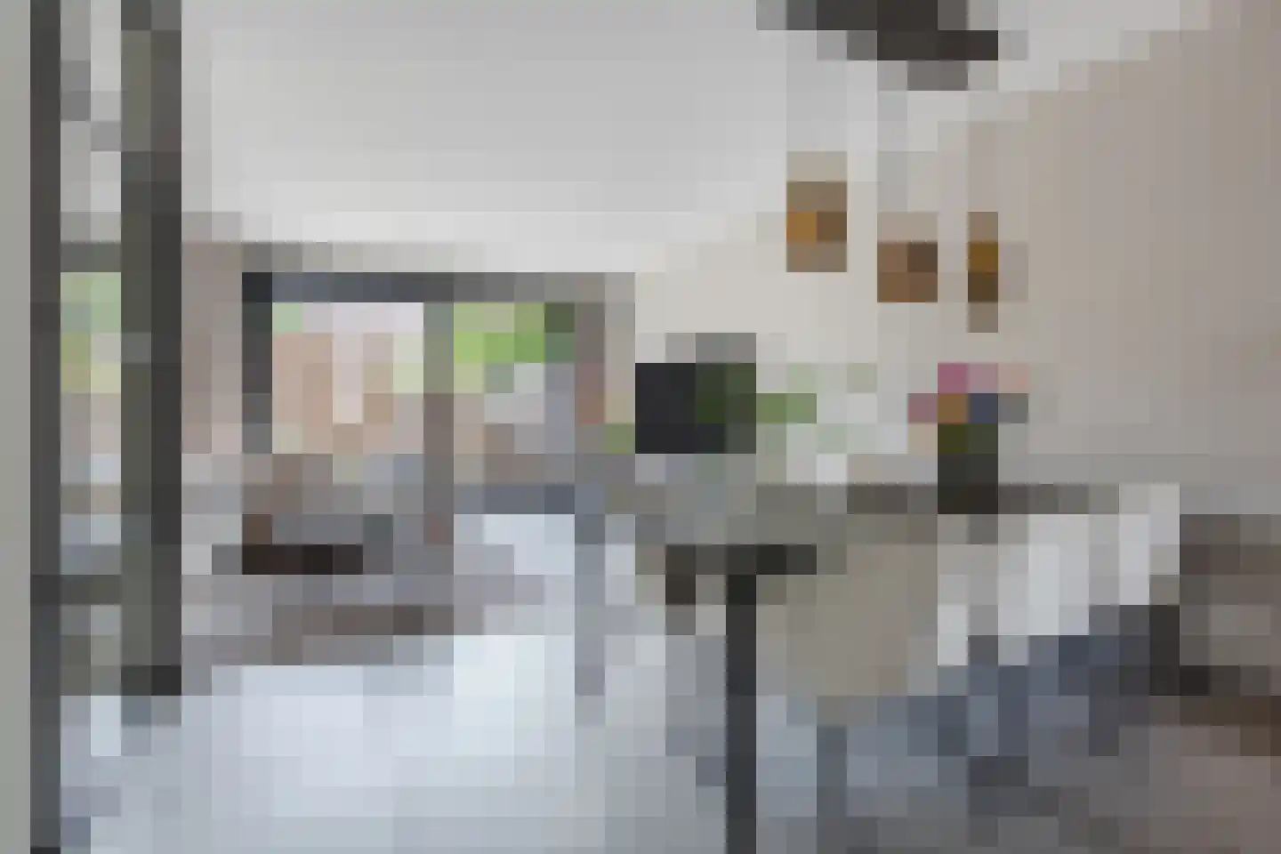 Dahliahof 12 Tilburg thumbnail 4