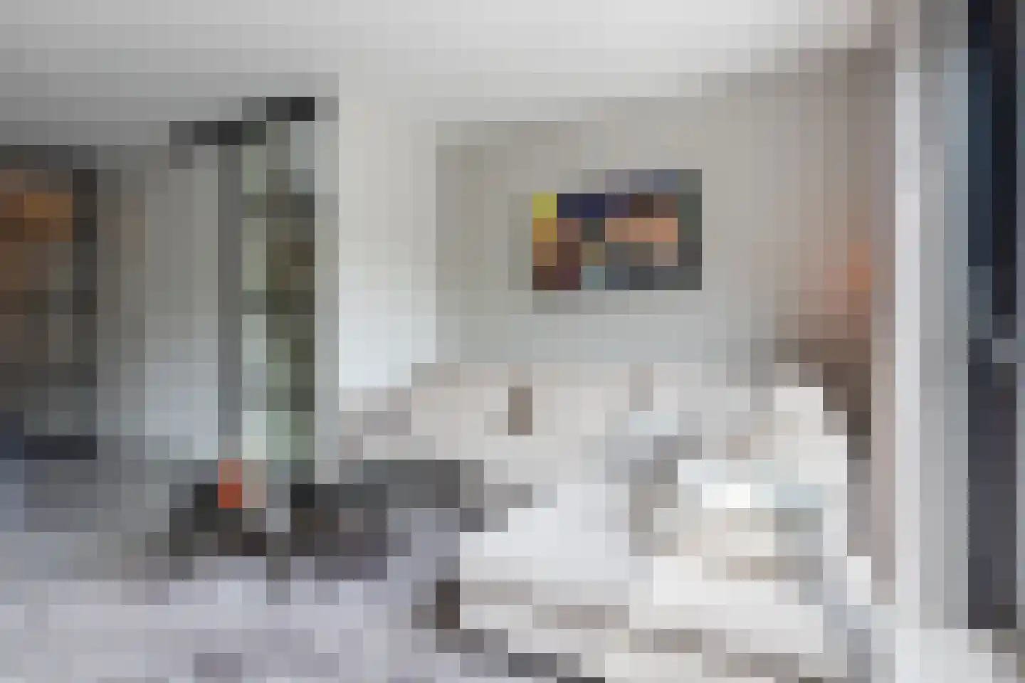 Dahliahof 12 Tilburg thumbnail 5