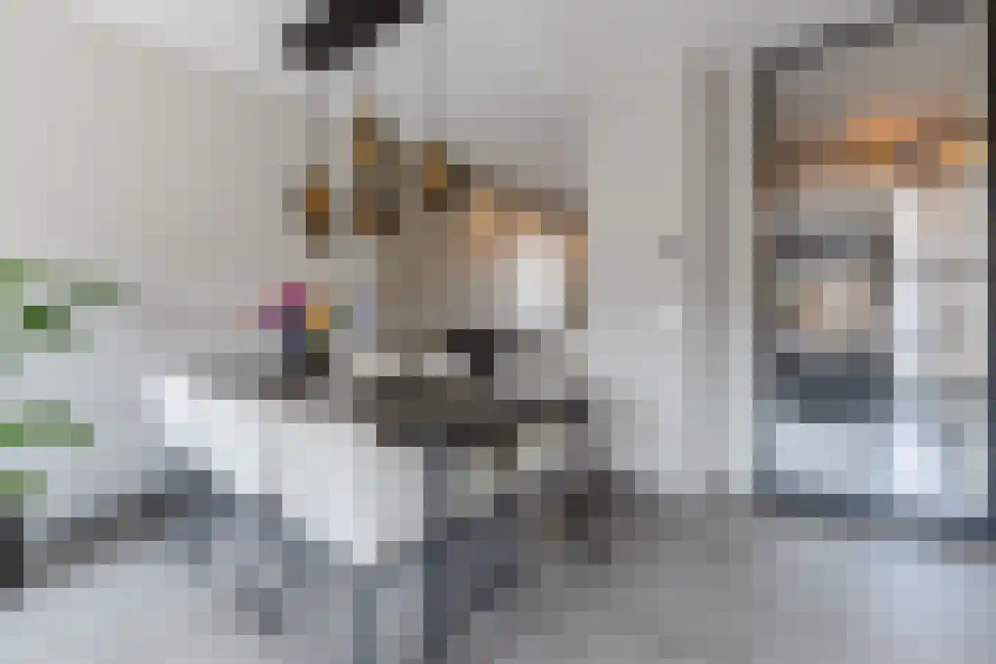 Dahliahof 12 Tilburg thumbnail 7