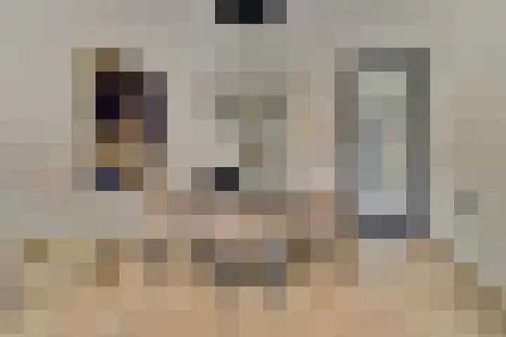 Dahliahof 14 Tilburg thumbnail 10