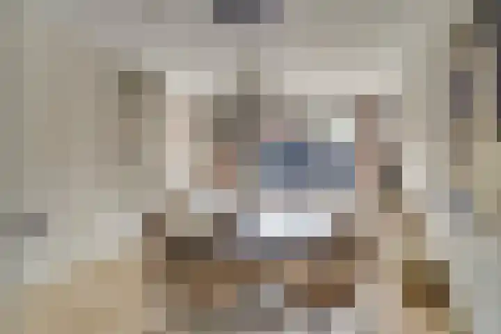 Dahliahof 14 Tilburg thumbnail 13