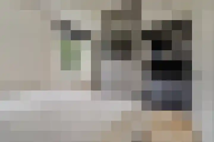 Dahliahof 14 Tilburg thumbnail 18