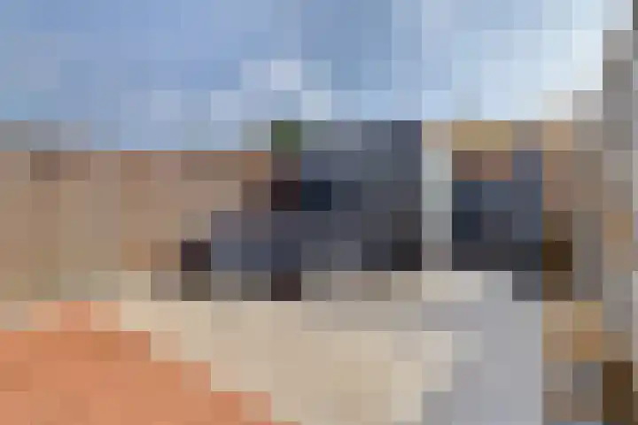 Dahliahof 14 Tilburg thumbnail 33
