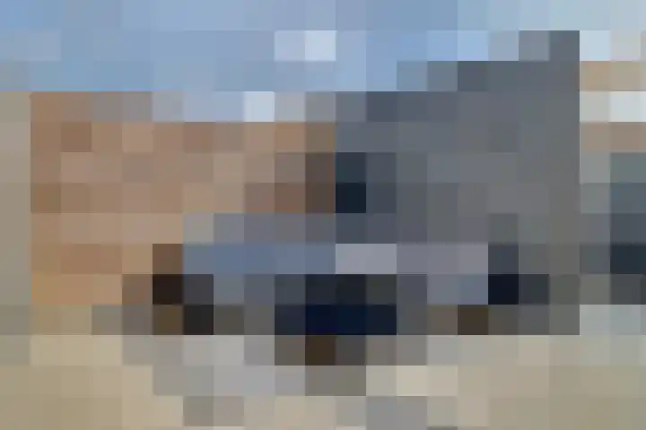 Dahliahof 14 Tilburg thumbnail 35