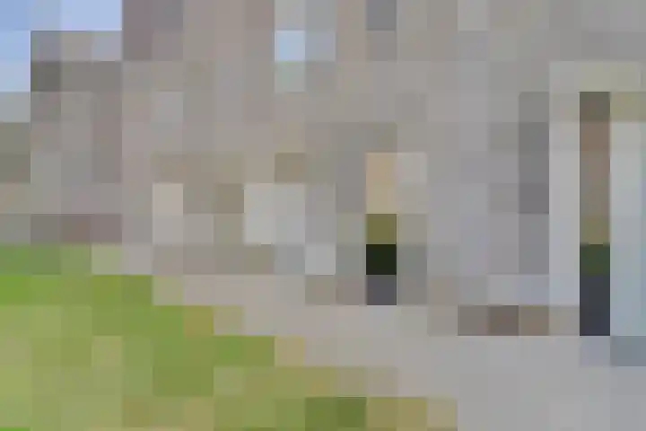 Dahliahof 14 Tilburg thumbnail 37
