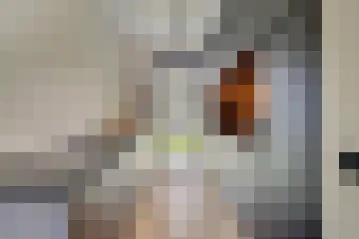 Dahliahof 14 Tilburg thumbnail 4
