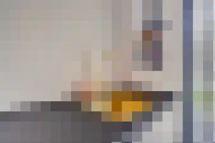 Dahliahof 14 Tilburg thumbnail 5