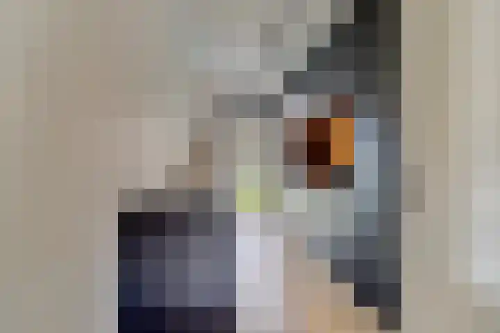 Dahliahof 14 Tilburg thumbnail 8