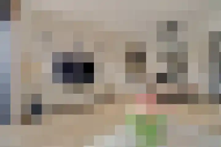 Dahliahof 14 Tilburg thumbnail 9
