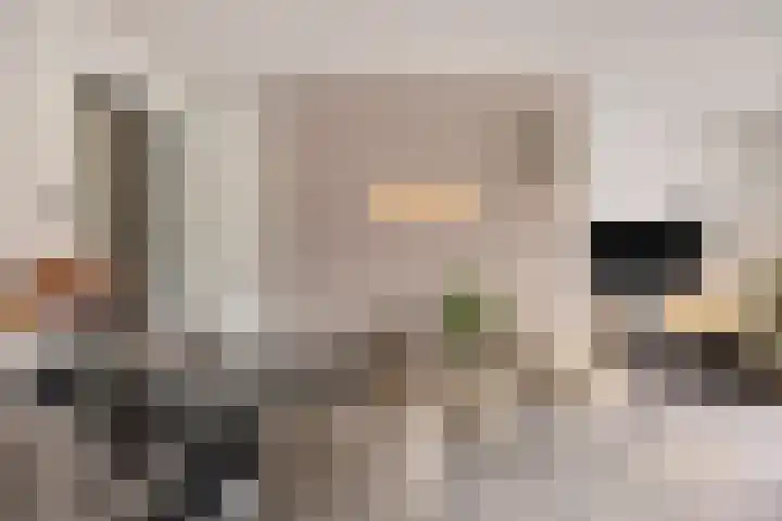 Dahliahof 19 Tilburg thumbnail 11