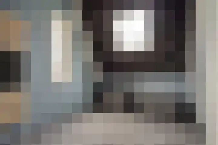 Dahliahof 19 Tilburg thumbnail 37