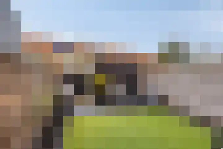Dahliahof 19 Tilburg thumbnail 38