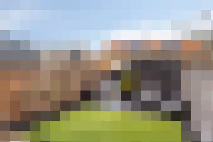 Dahliahof 19 Tilburg thumbnail 39