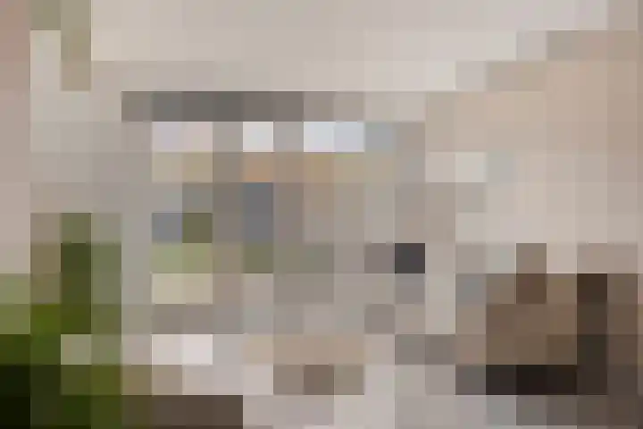 Dahliahof 19 Tilburg thumbnail 4