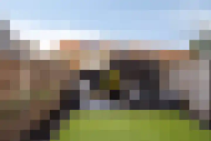 Dahliahof 19 Tilburg thumbnail 40