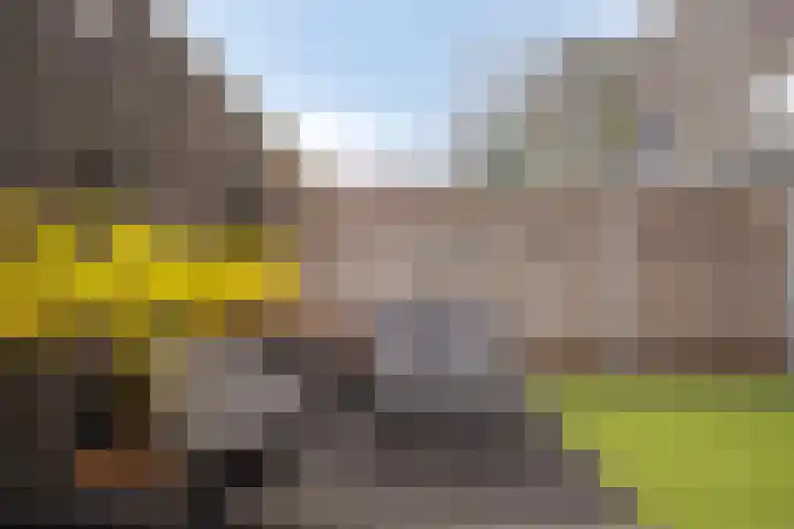 Dahliahof 19 Tilburg thumbnail 42