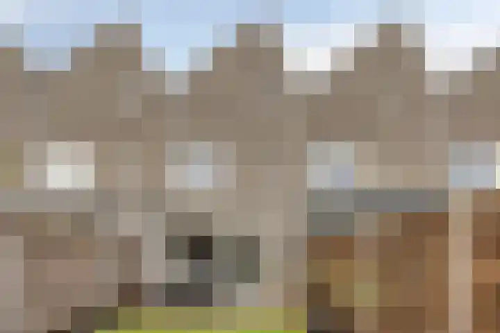 Dahliahof 19 Tilburg thumbnail 43