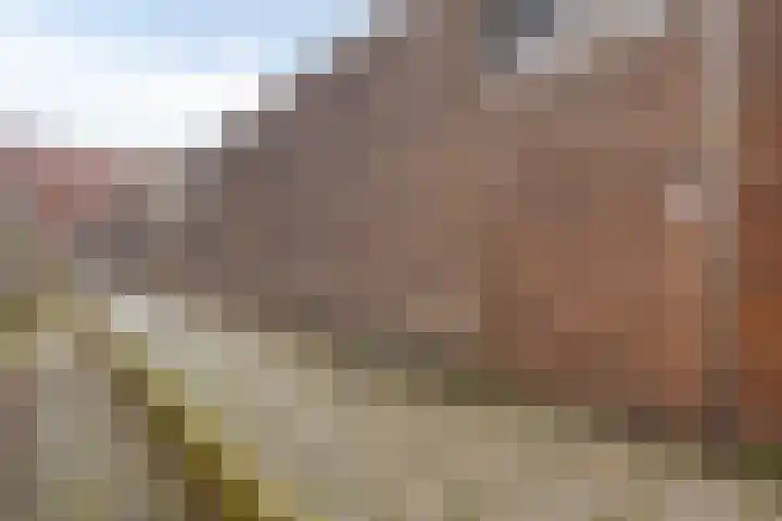 Dahliahof 19 Tilburg thumbnail 45