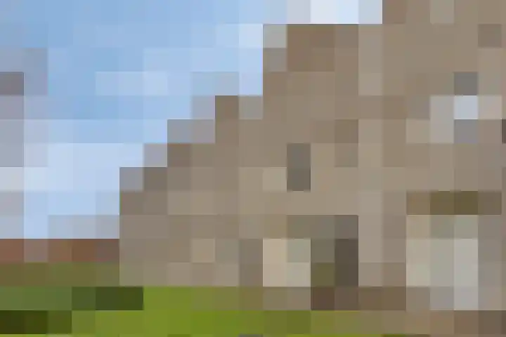 Dahliahof 19 Tilburg thumbnail 46