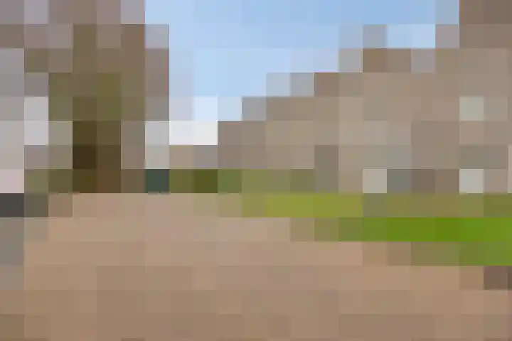 Dahliahof 19 Tilburg thumbnail 48