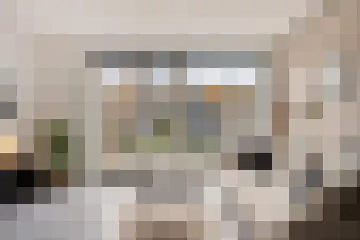 Dahliahof 19 Tilburg thumbnail 5