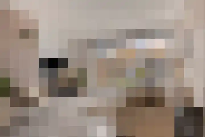 Dahliahof 19 Tilburg thumbnail 6