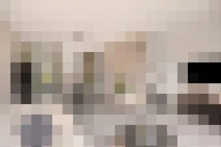 Dahliahof 19 Tilburg thumbnail 8