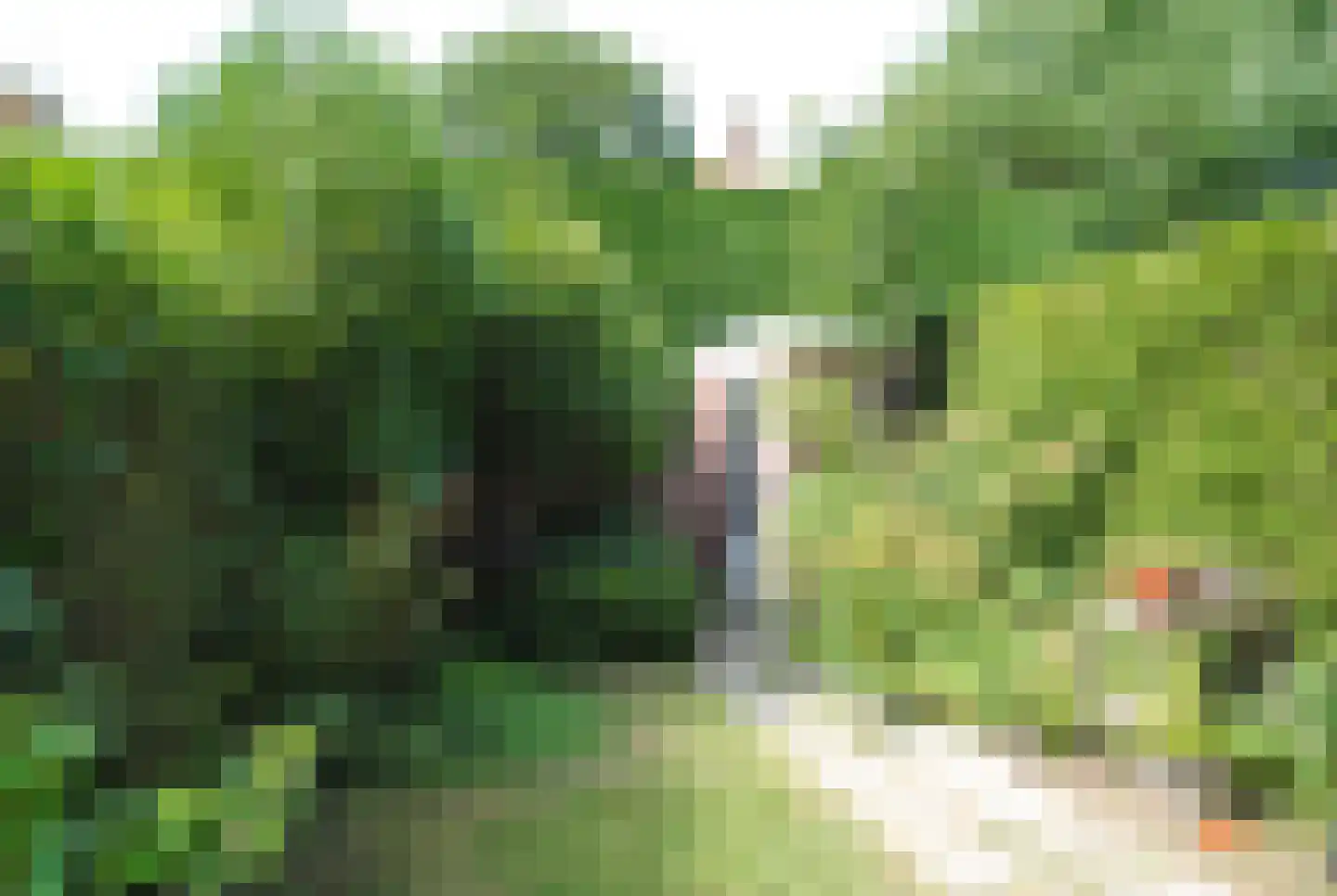 Dahliahof 2 Wassenaar thumbnail 11