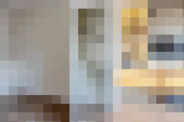 Dahliahof 20 Tilburg thumbnail 16
