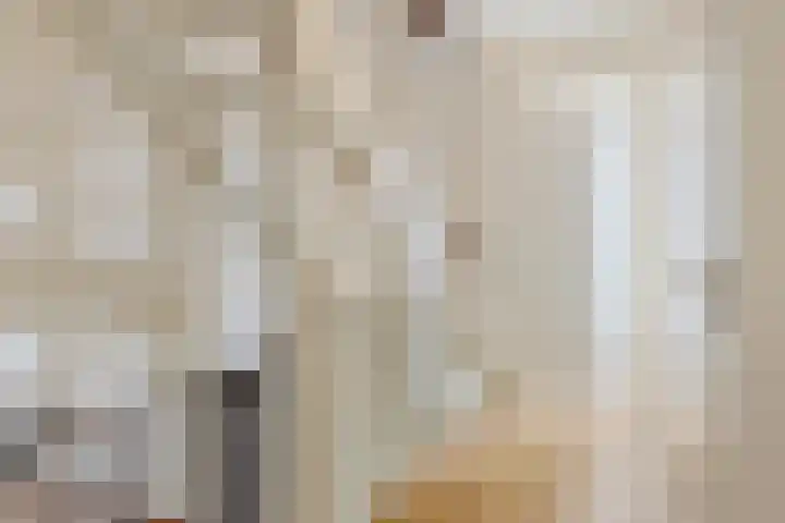 Dahliahof 20 Tilburg thumbnail 17