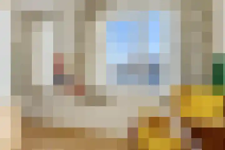 Dahliahof 20 Tilburg thumbnail 19