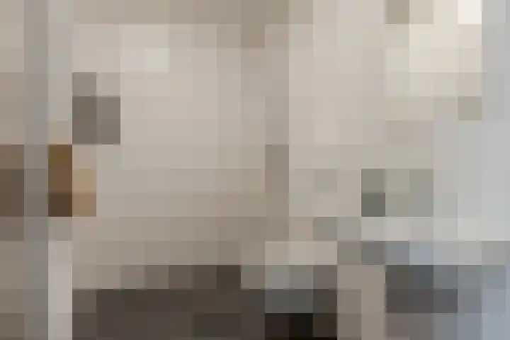 Dahliahof 20 Tilburg thumbnail 23