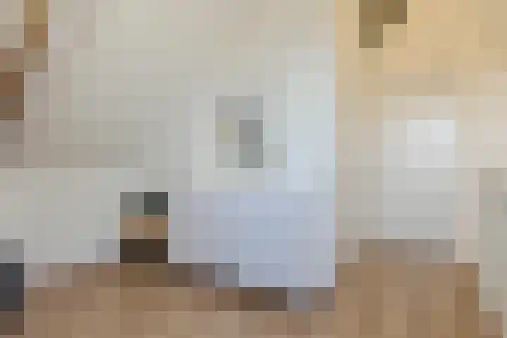 Dahliahof 20 Tilburg thumbnail 30