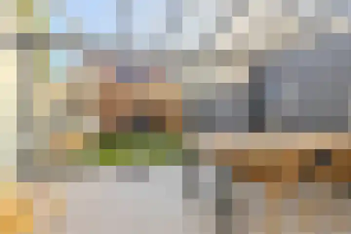 Dahliahof 20 Tilburg thumbnail 31