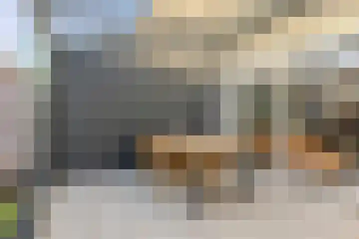 Dahliahof 20 Tilburg thumbnail 32