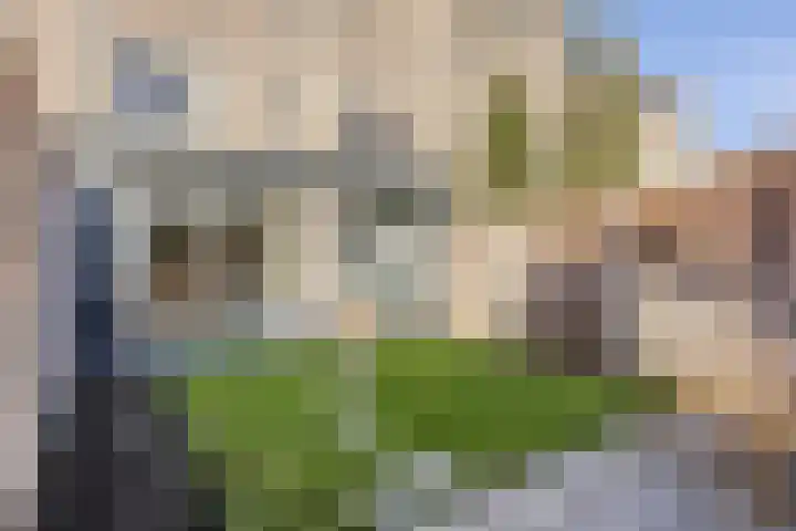 Dahliahof 20 Tilburg thumbnail 34
