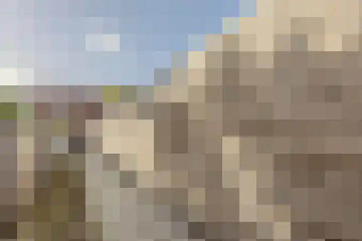 Dahliahof 20 Tilburg thumbnail 36