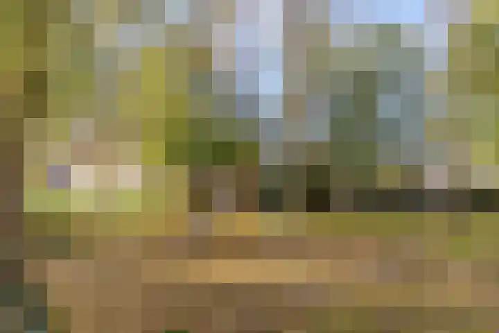 Dahliahof 20 Tilburg thumbnail 38