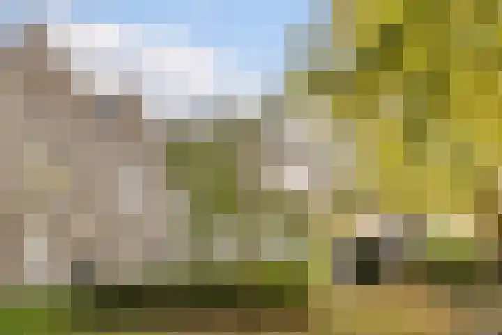 Dahliahof 20 Tilburg thumbnail 39