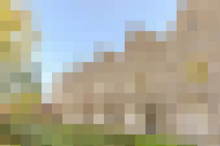 Dahliahof 20 Tilburg thumbnail 46