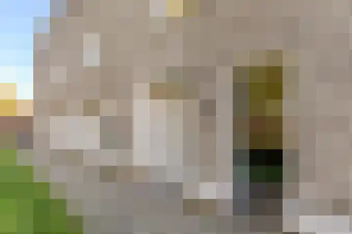 Dahliahof 20 Tilburg thumbnail 47