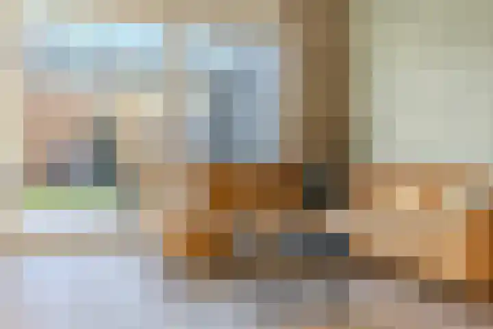Dahliahof 20 Tilburg thumbnail 8