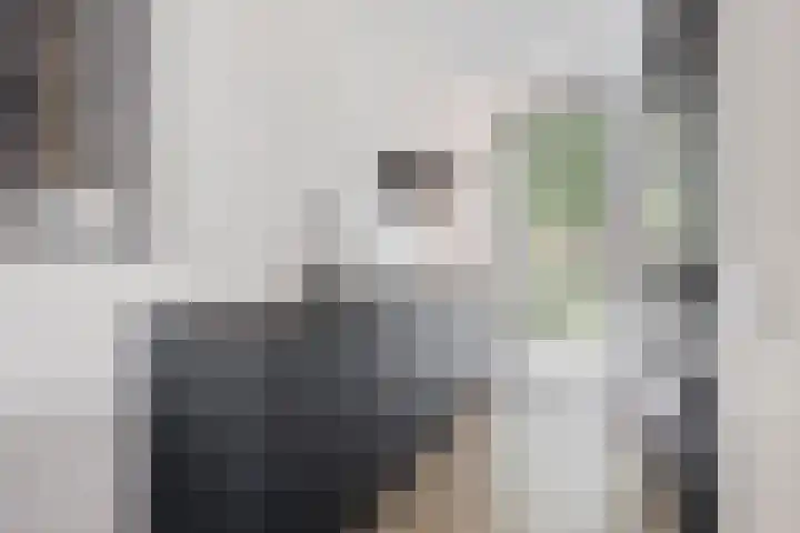 Dahliahof 22 Tilburg thumbnail 17