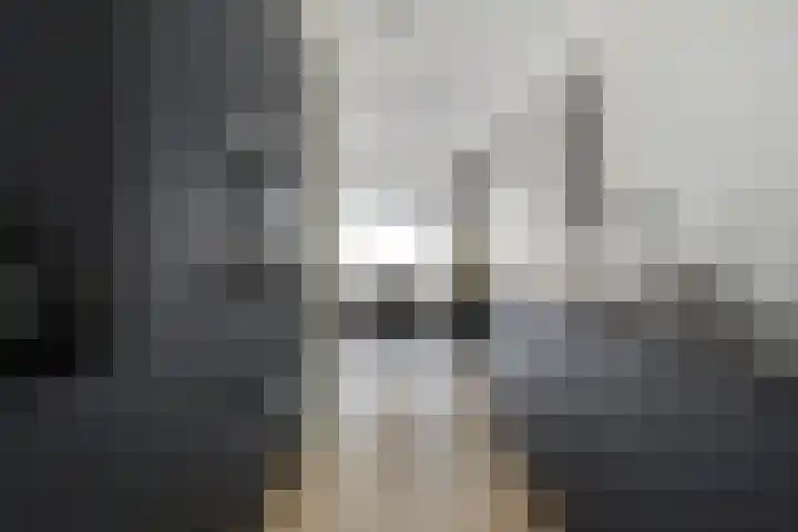 Dahliahof 22 Tilburg thumbnail 19