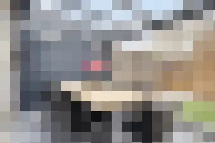 Dahliahof 22 Tilburg thumbnail 32